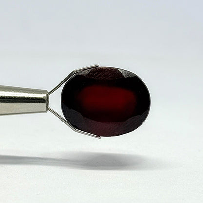 21.95 Carat Indian Gomed (Hessonite Garnet) Stone | Natural Rahu Gemstone | Certified Premium Gomed for Astrology