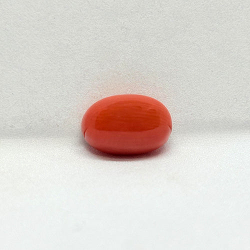 3.35 Carat Japanese Red Coral (Moonga) Stone | Natural Japan Coral for Mars (Mangal) | Premium Certified Gemstone