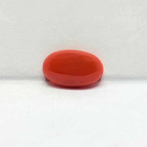 6.2 Carat Japanese Red Coral (Moonga) Stone | Natural Japan Coral for Mars (Mangal) | Premium Certified Gemstone