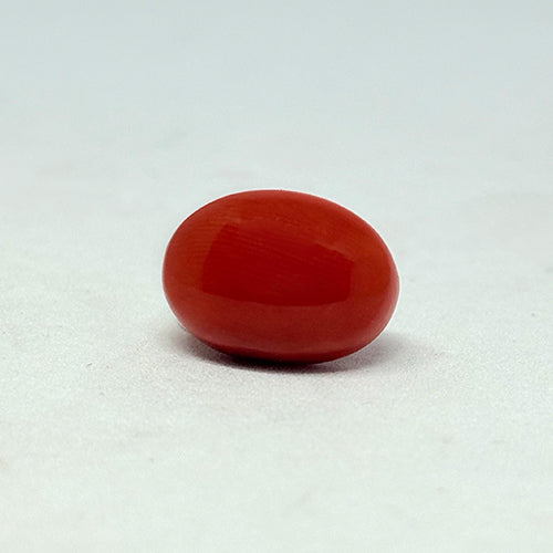 5.55 Carat Ultra Premium Italian Red Coral (Moonga) Stone | Luxury Natural Italy Moonga for Mars (Mangal) | Certified High-Grade Coral