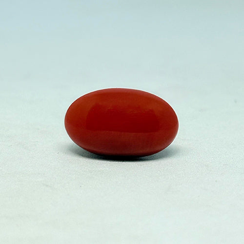 6.55 Carat Ultra Premium Italian Red Coral (Moonga) Stone | Luxury Natural Italy Moonga for Mars (Mangal) | Certified High-Grade Coral