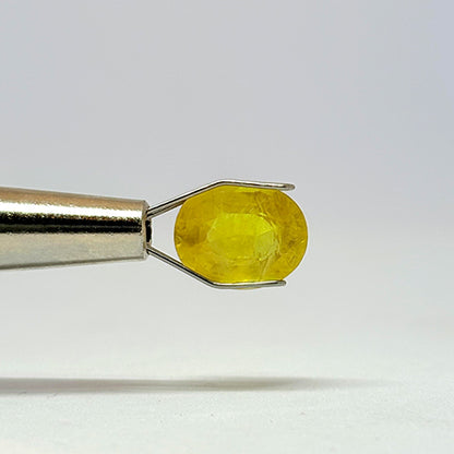 3.32 Carat Bangkok Yellow Sapphire (Pukhraj) Stone | Natural Thailand Pukhraj for Jupiter (Guru) | Certified Gemstone