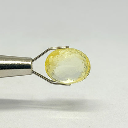 8.02 Ct Natural Yellow Sapphire (Pukhraj) | Ceylon (Sri Lanka) | Bangkok Cut | Premium Jyotish Gemstone